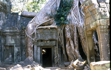 Angkor - Ta Phrom