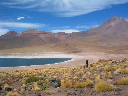Désert d'Atacama - Lac Miniques