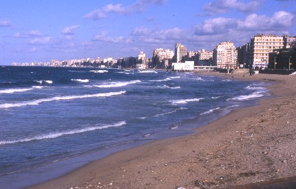 Alexandrie