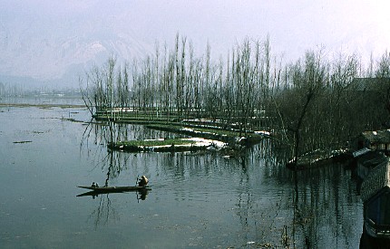 Lac Dal au Cachemire en Inde