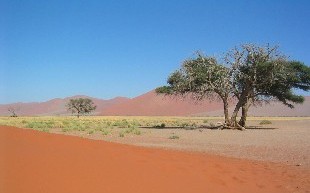 Désert du Namib, Namibie